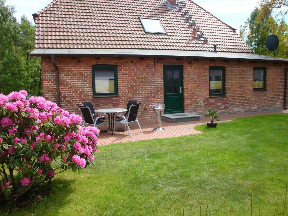 Apartament Am Waldessaum 10 Ribnitz-Damgarten Zewnętrze zdjęcie